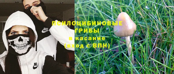 таблы Липки