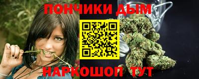 спиды Гатчина