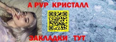 спиды Гатчина