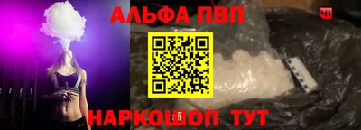 спиды Гатчина