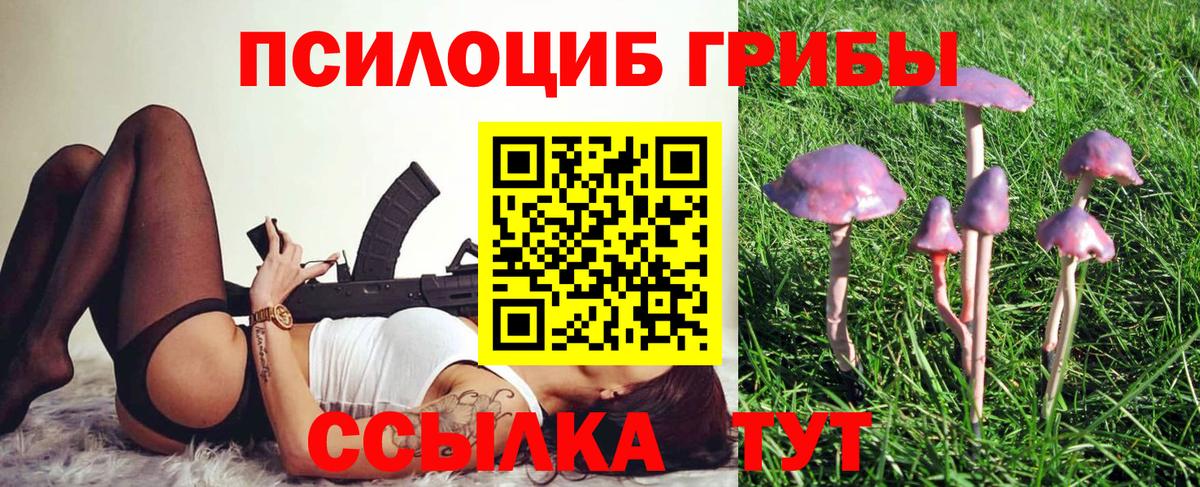 Донской  Псилоцибиновые грибы прущие грибы  Галлюциногенные грибы мицелий  Вход с VPN 
