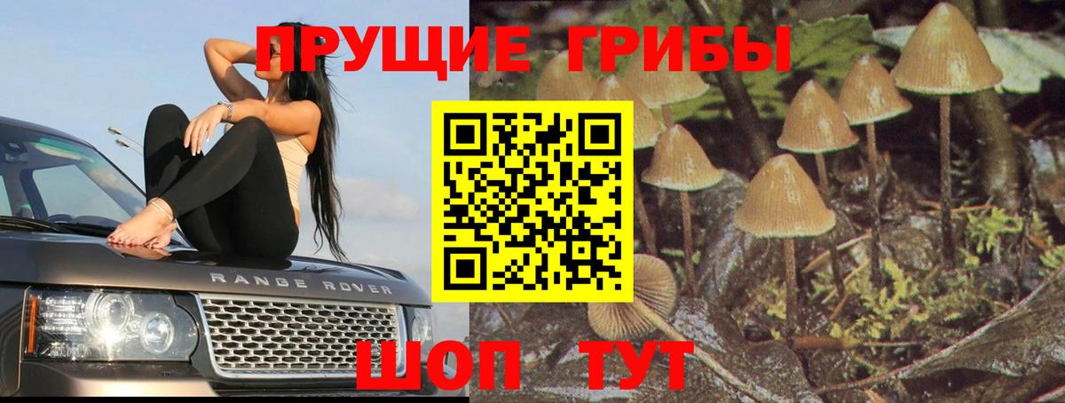 Псилоцибиновые грибы Magic Shrooms Донской